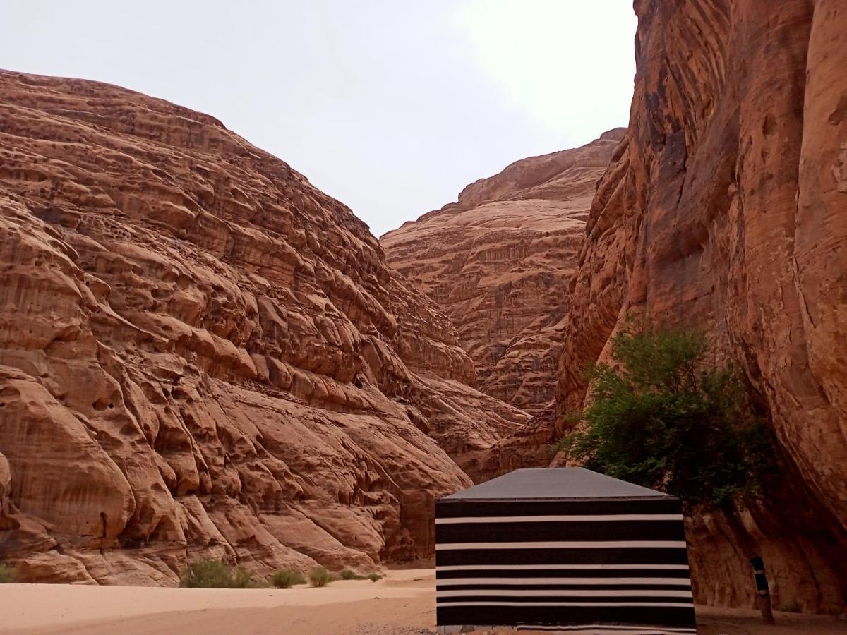 Shahrazad Desert, Wadi Rum Exterior photo
