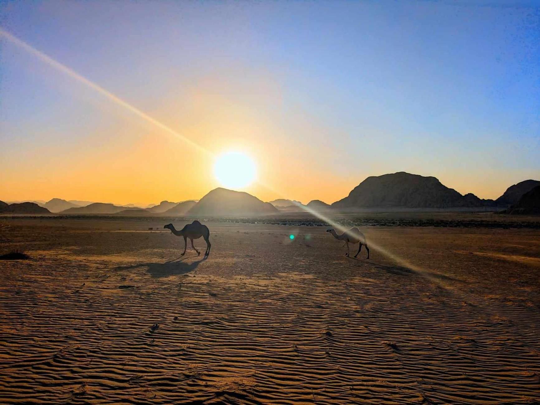 Shahrazad Desert, Wadi Rum Exterior photo